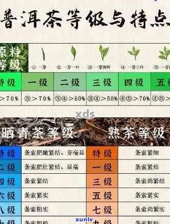 从外观、香气到口感：全面指南如何区分普洱茶的等级，了解普洱茶的各种特性