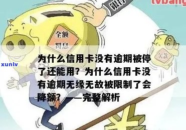 信用卡没有逾期被降