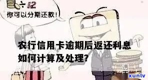 农行信用卡逾期计算 *** 及相关问题解答