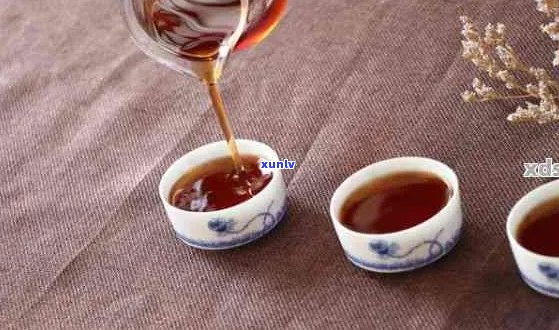 普洱茶搭配推荐：什么更能突显它的独特风味？