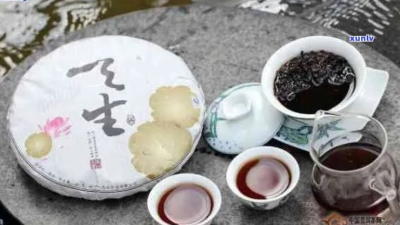 普洱茶搭配推荐：什么更能突显它的独特风味？