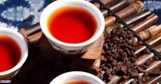 普洱茶搭配推荐：什么更能突显它的独特风味？