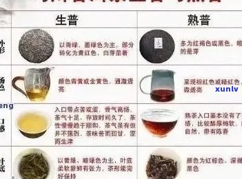 普洱茶搭配 *** 与喝法，助你品尝出茶叶的绝妙滋味。