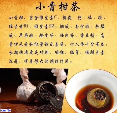 小青柑普洱茶的药效