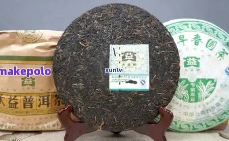 新1996年普洱茶罐凤临，古树茶韵，品鉴珍藏佳品