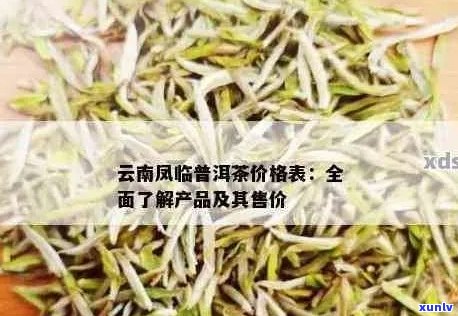 云南凤临普洱茶价格及品种全面解析：如何挑选购买合适的普洱茶？