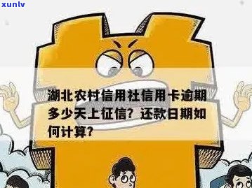 湖北农商行信用卡宽限期长政策详解，如何申请以及相关注意事项