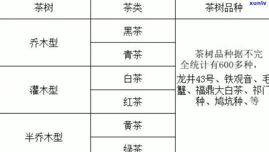 国有林茶的定义、种类、品质和饮用 *** ：全面解答用户常见问题