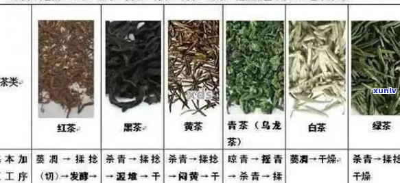 国有林茶的定义、种类、品质和饮用 *** ：全面解答用户常见问题