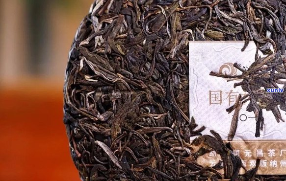 国有林普洱茶好不好