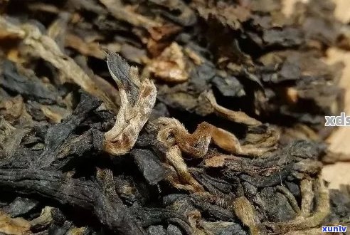 普洱茶陈化过程及其对茶叶香气和品质的影响：是否越陈越香？