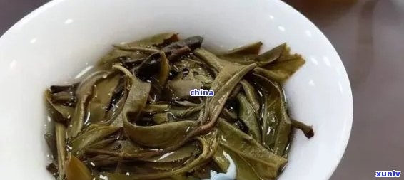 普洱茶并非越陈越香的原因是什么：探究普洱茶陈化过程中品质变化的根本原因