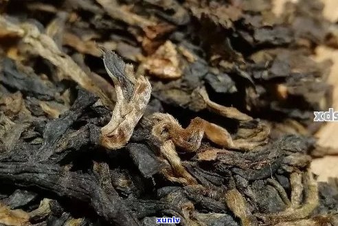 普洱茶并非越陈越香的原因是什么：探究普洱茶陈化过程中品质变化的根本原因