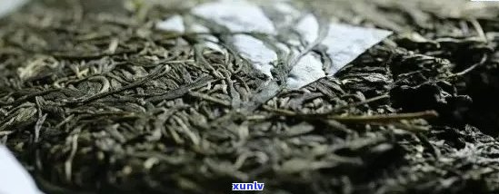 普洱茶陈年品质是否真能提升？新研究揭秘