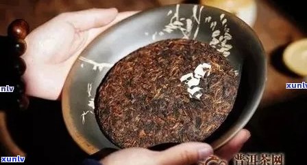 普洱茶陈年品质是否真能提升？新研究揭秘