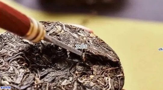 普洱茶陈年品质是否真能提升？新研究揭秘