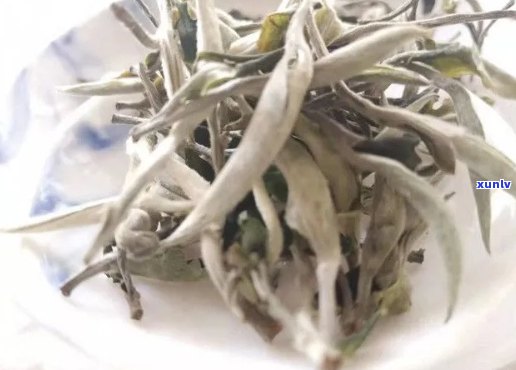 普洱茶中白毫的出现原因及其对茶叶品质的影响