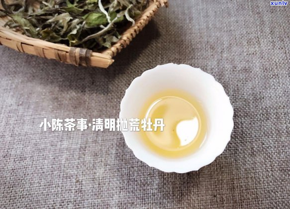 普洱茶：对痛风的潜在益处及其现代科学研究解析