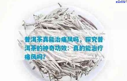 普洱茶对痛风病人的影响及其适用性：一篇全面解答的文章