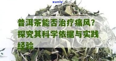 普洱茶：对痛风的潜在益处及其现代科学研究解析