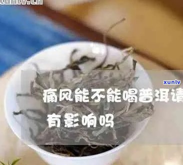 普洱茶对痛风病人的影响及其适用性：一篇全面解答的文章