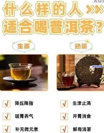 普洱茶对痛风病人的影响及其适用性：一篇全面解答的文章