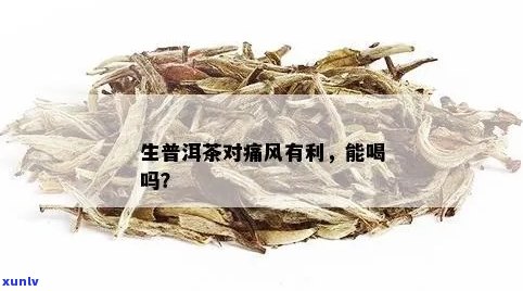 普洱茶对痛风怎么样