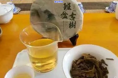 芳村哪家普洱茶专卖店品质可靠？如何挑选优质普洱茶？