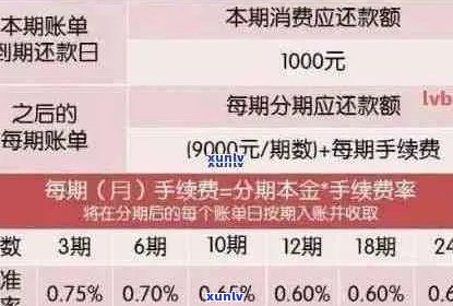 信用卡逾期后如何还款？是否只按更低还款额度计算？了解详细还款方式和影响