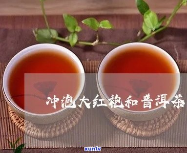 普洱茶和大红袍区别