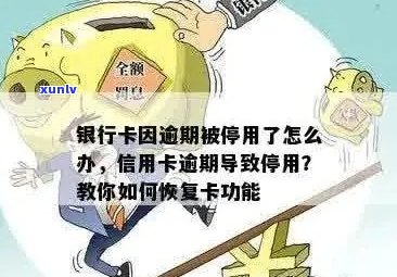 信用卡逾期后被停了怎么恢复使用与额度