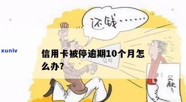 信用卡逾期后被停了