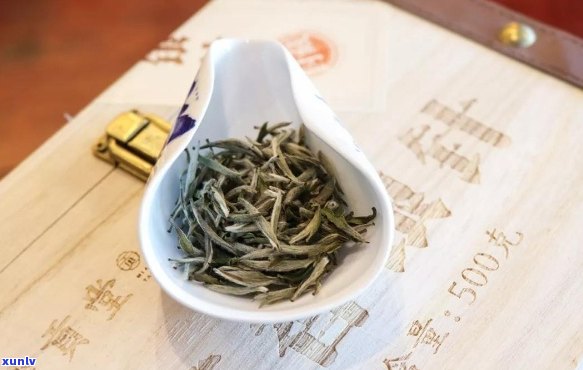 兰庭春金针银毫：优质茶叶的品鉴与收藏