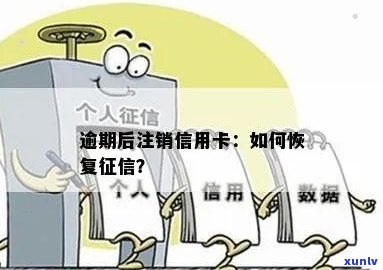 逾期后如何恢复信用卡：完整指南，解决逾期注销带来的信用困扰