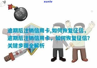 逾期后如何恢复信用卡：完整指南，解决逾期注销带来的信用困扰