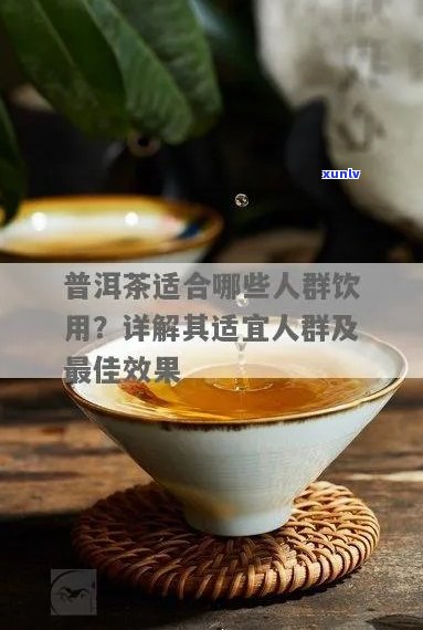 瑞普洱茶：品质、口感、功效及适用人群全面解析，告别选择困难症！