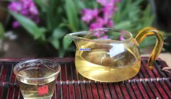 普洱茶能否玻璃杯泡：探讨普洱茶用玻璃杯泡的可行性及影响