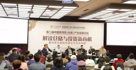 普洱茶八十克多少钱一斤？最新市场价格分析及购买建议