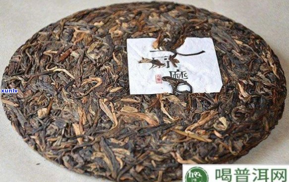 单饼普洱茶能升值吗