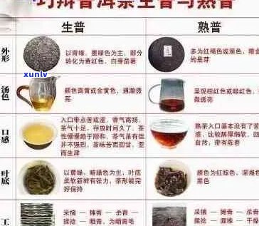 大益普洱茶各系列对比：哪种普洱茶最适合你？