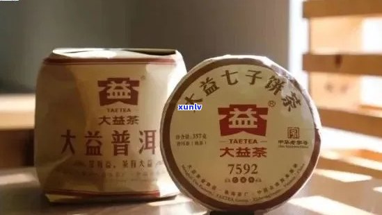 大益普洱茶中哪款性价比更高？详细介绍及对比分析