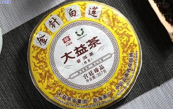 大大益普洱茶喝哪款