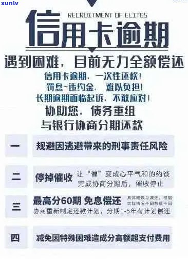 信用卡逾期后利息过高的解决策略：分期还款全解析