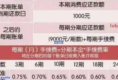 信用卡逾期后利息过高的解决策略：分期还款全解析