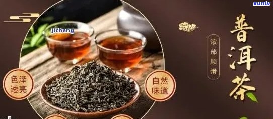 顺势普洱茶的健益处：深入解析其独特的药用价值和科学证据支持