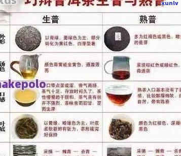 普洱茶红色与黄绿色的区别：哪个更受欢迎？