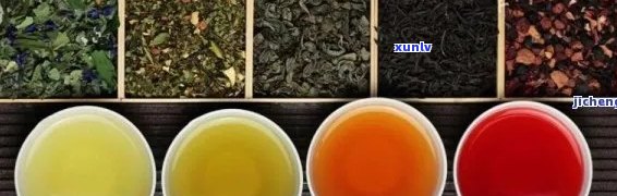 普洱茶：红色与黄绿色的品质比较及选购指南