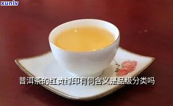 普洱茶：红色与黄绿色的品质比较及选购指南