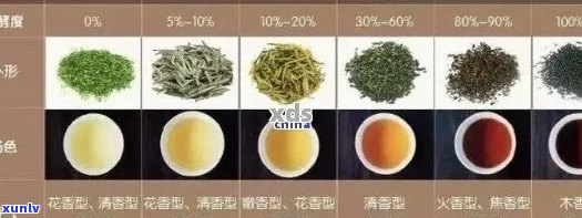 普洱茶：红色与黄绿色的品质比较及选购指南