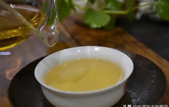 普洱茶中的酸味之谜：探究其成因与品饮价值